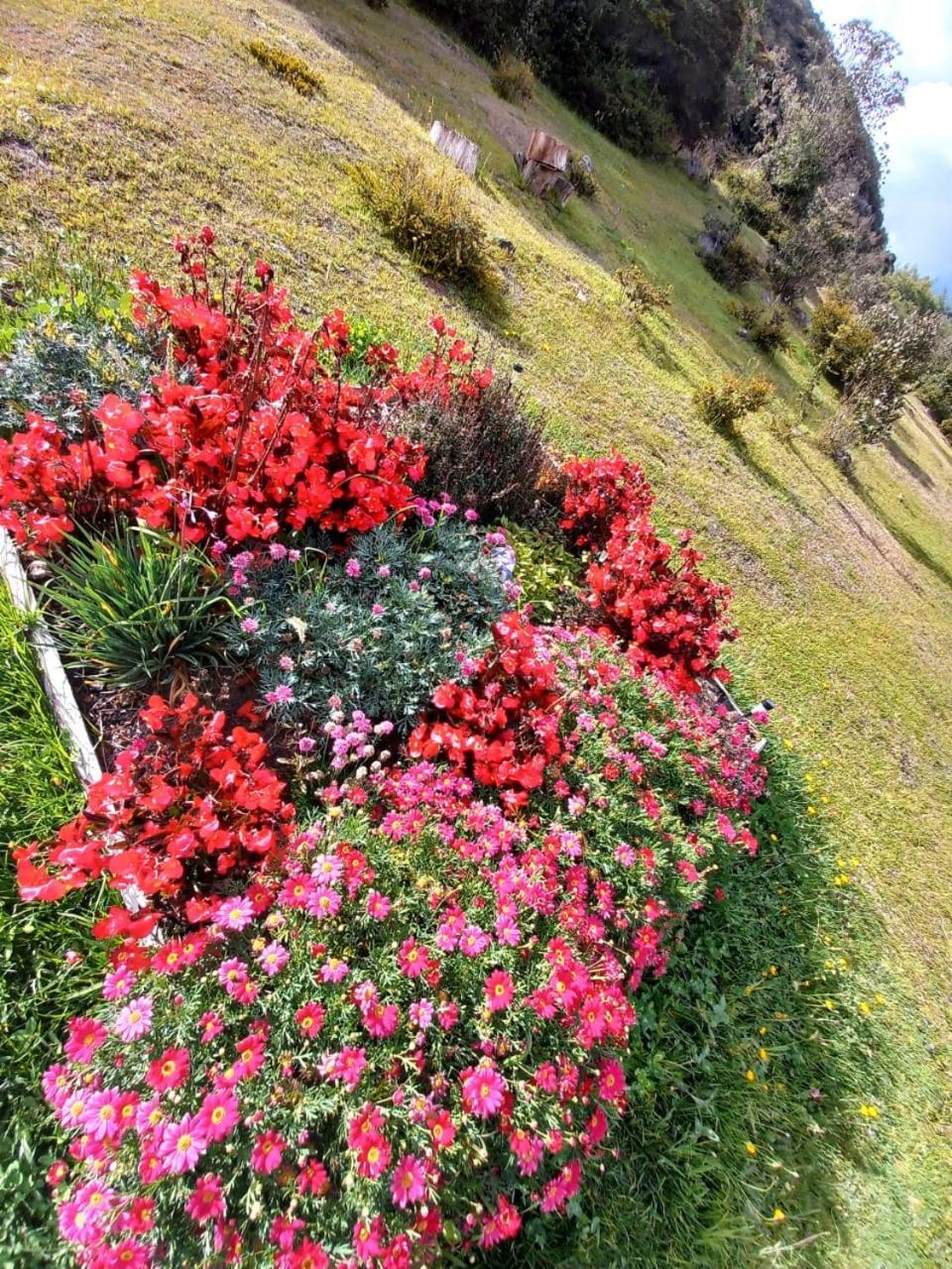 Glamping Hermoso Amanecer Guatavita Exterior photo